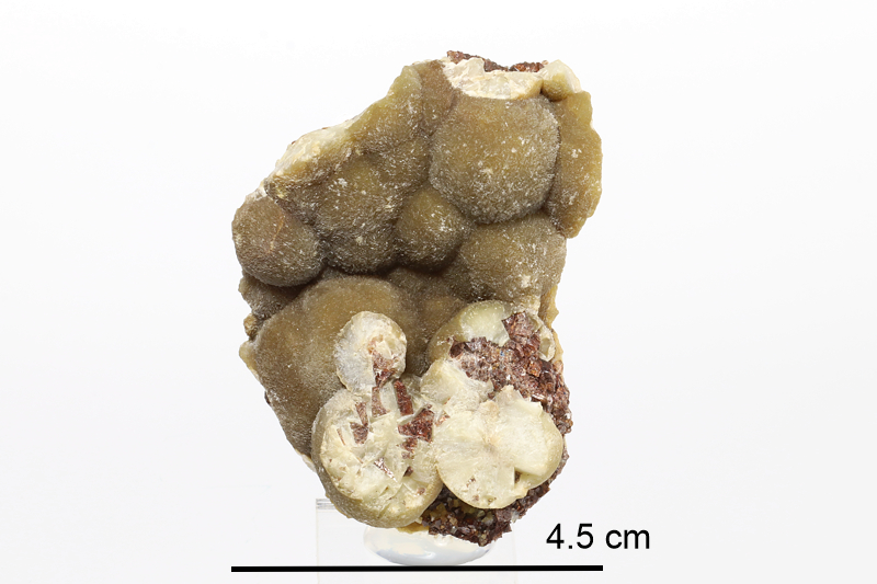 Dondoellite (Yukon)